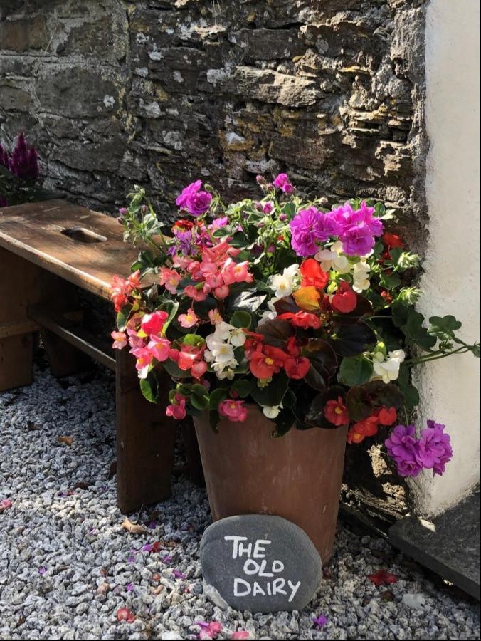 The Old Dairy Retreat Villa St Austell Exterior foto